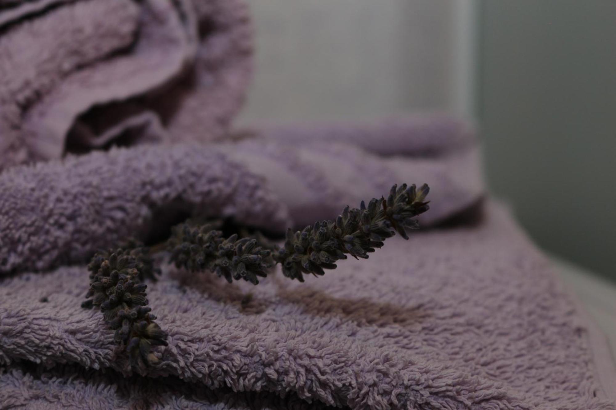 ורבניק Apartman Kristina מראה חיצוני תמונה